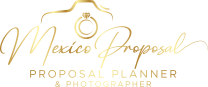 Mexico Proposal logo